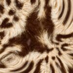 leopard fur, animal fur, animal print