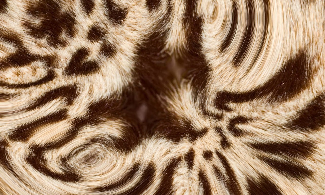 leopard fur, animal fur, animal print