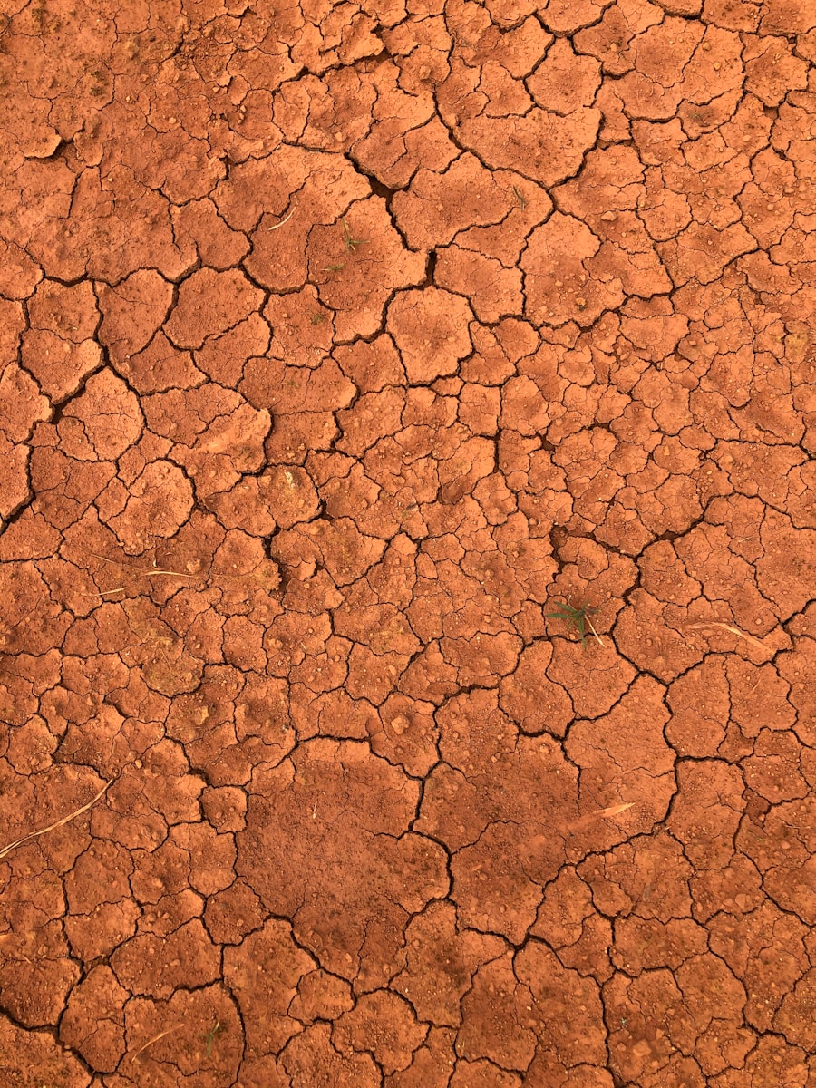 brown and white concrete floor